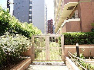 石川町駅 徒歩2分 2階の物件内観写真